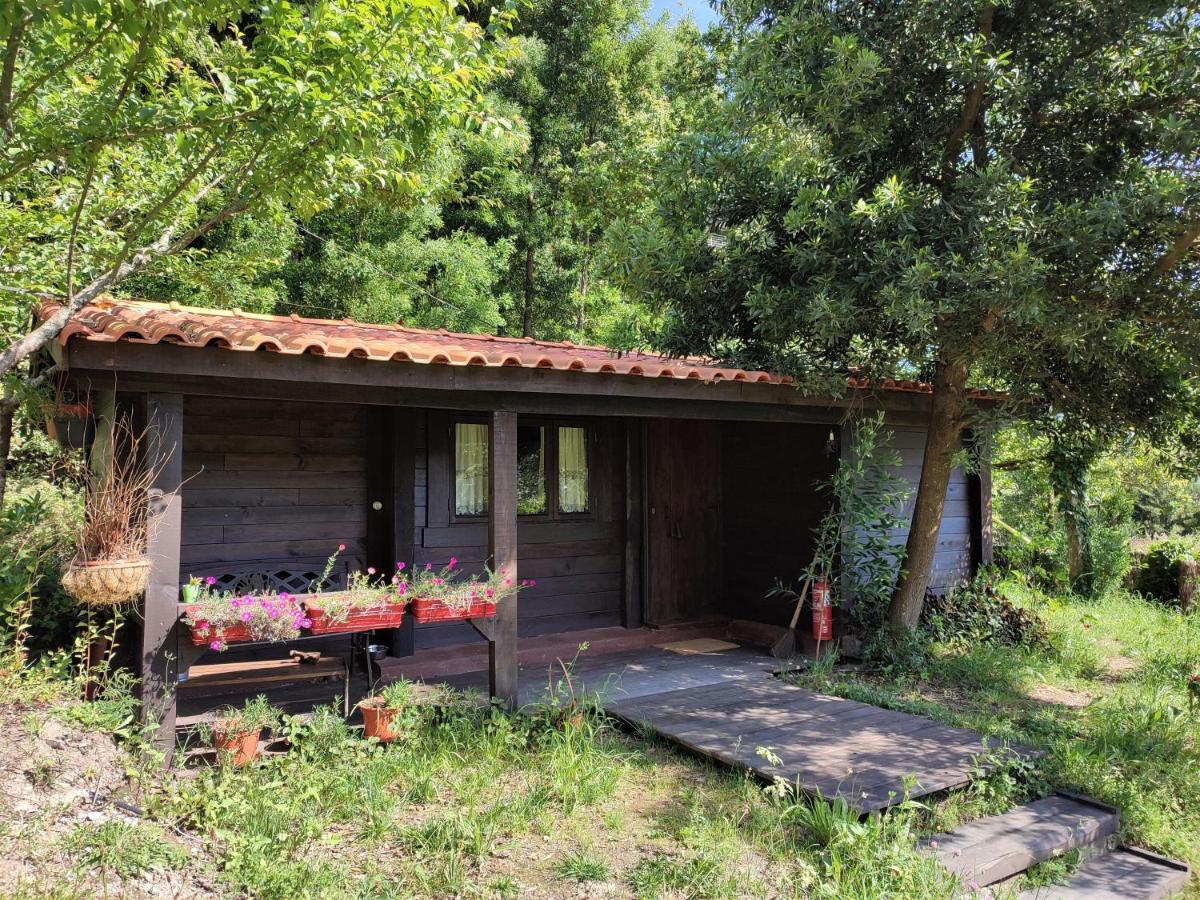 O Cantinho De Coura - A Cabana Paredes de Coura Dış mekan fotoğraf