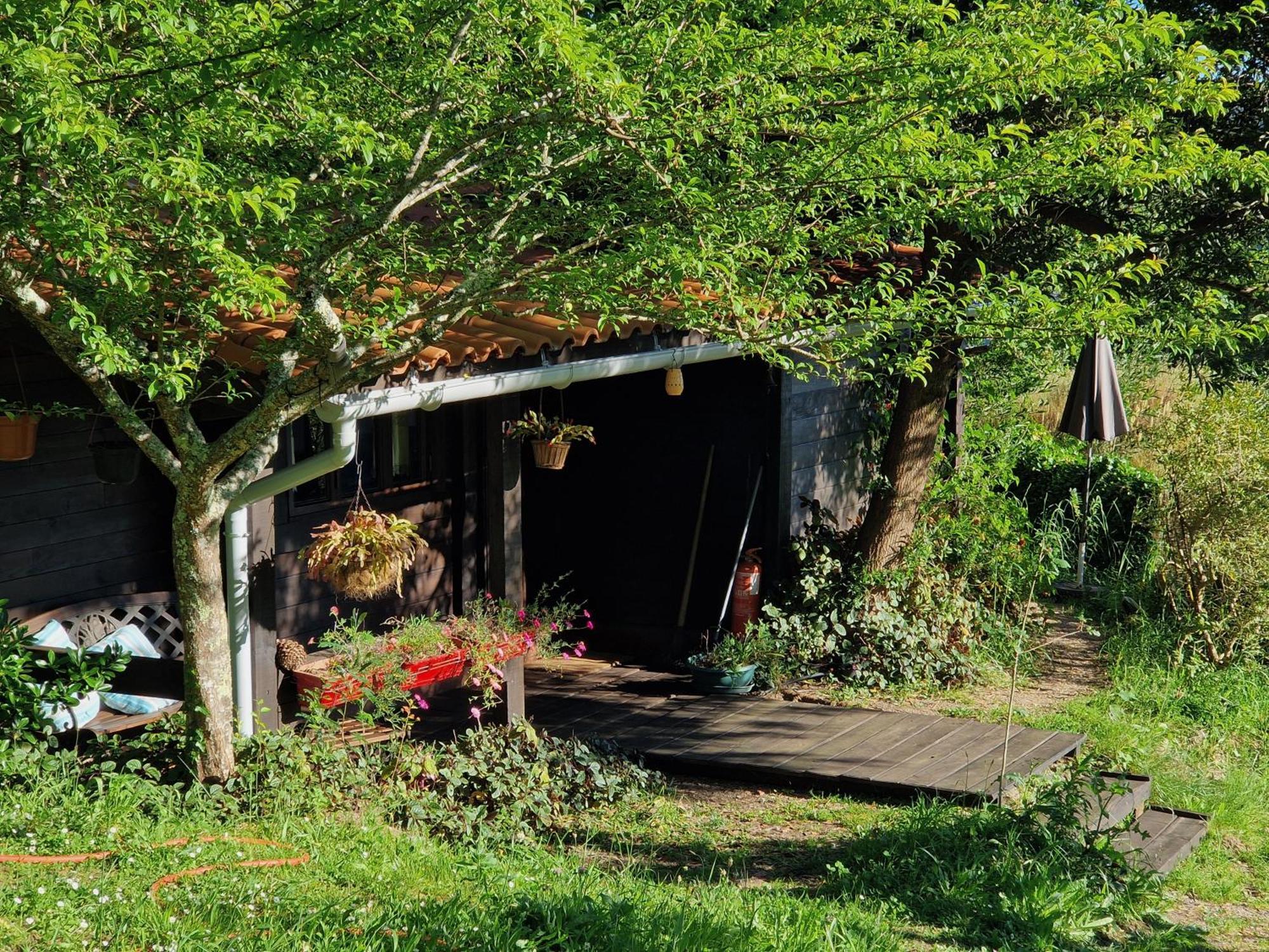 O Cantinho De Coura - A Cabana Paredes de Coura Dış mekan fotoğraf